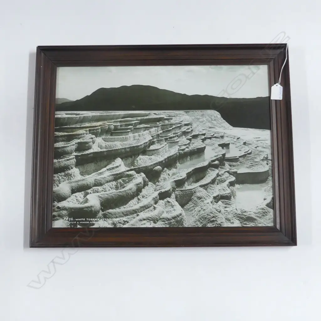 MUIR & MOODIE WHITE TERRACES PRINT 355x470mm Image 1++