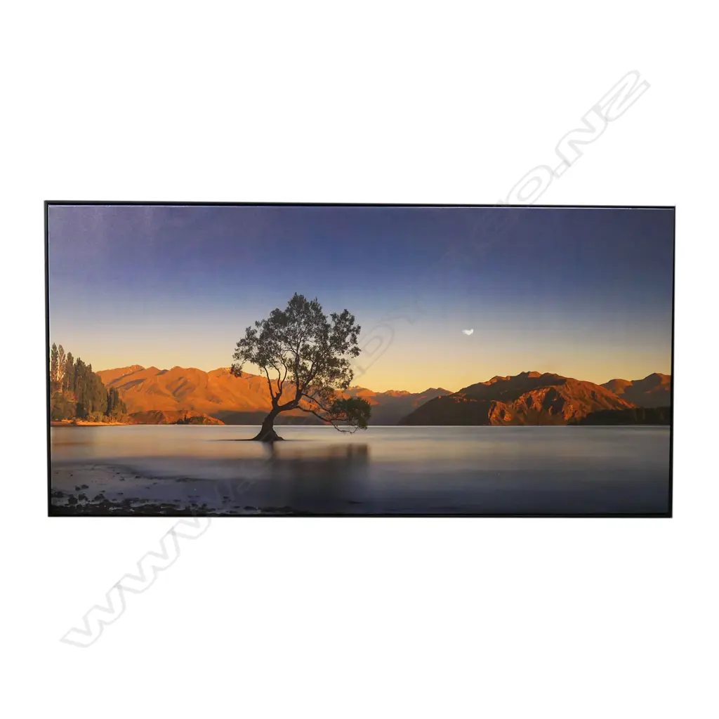 LG CANVAS PRINT, LAKE WANAKA WILLOW 700x1400mm Image 1++