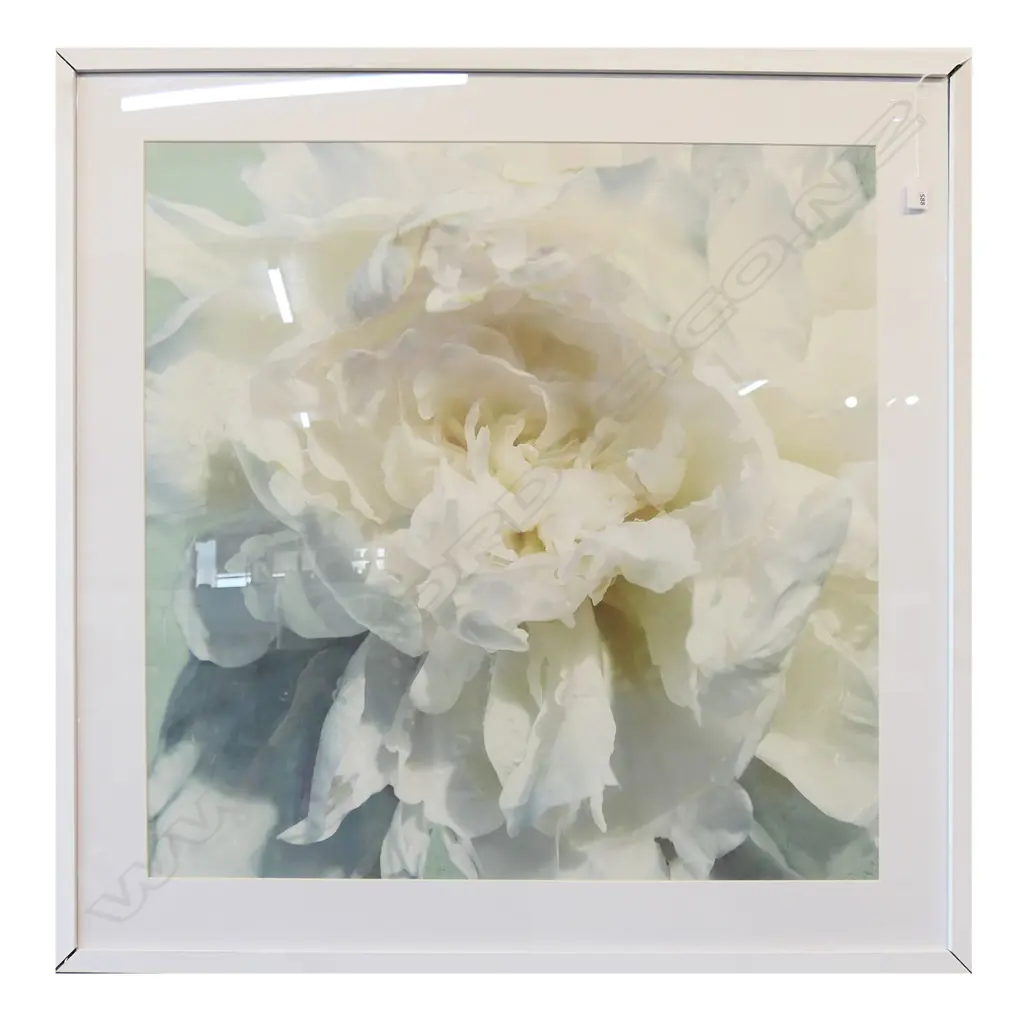 LG FRAMED WHITE FLORAL PRINT 1000x1000mm overall size Image 1++