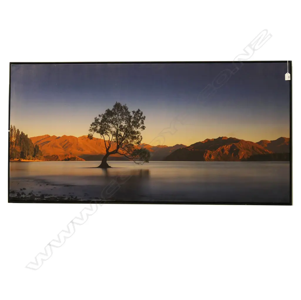 LG CANVAS PRINT, LAKE WANAKA WILLOW 700x1400mm FRAME FAULTED Image 1++