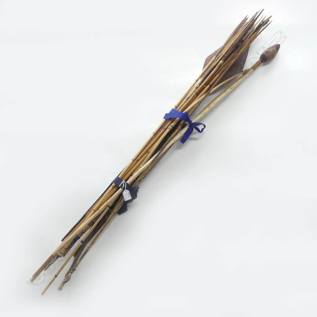 ASST LOT OF P.N.G ARROWS /2 BOWS AND PADDLE H1290 MM Image 1++