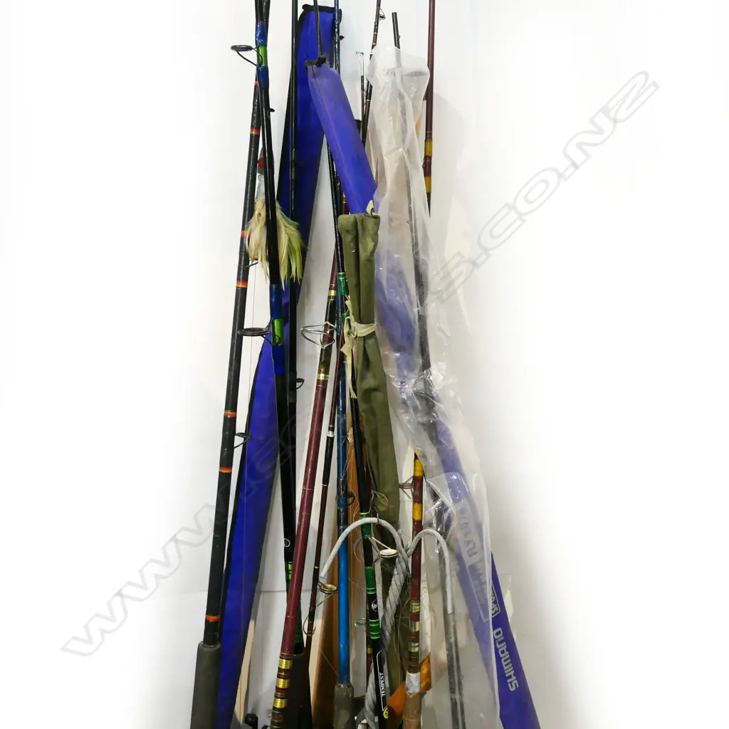 ASST. FISHING RODS Image 1++