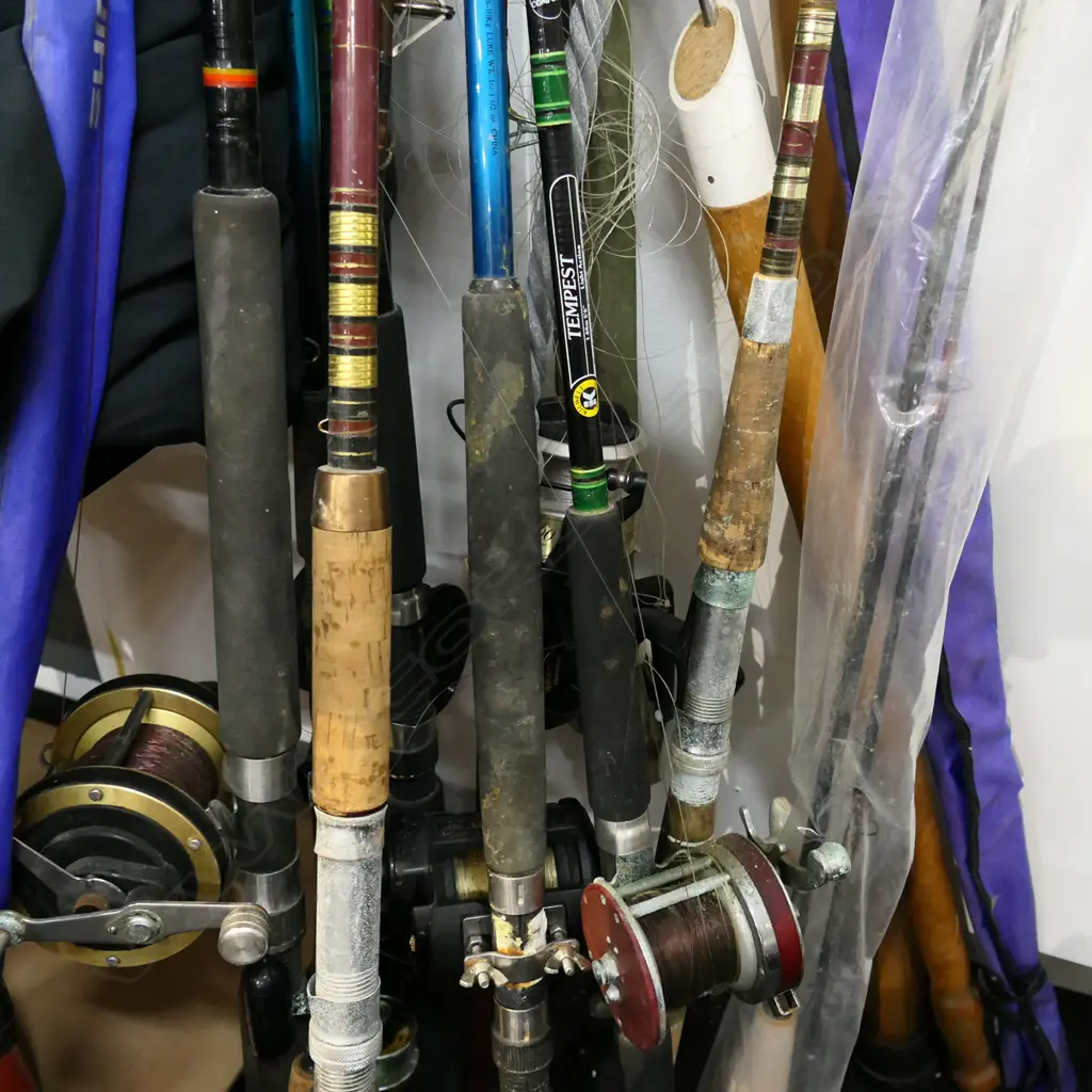 ASST. FISHING RODS Image 1++
