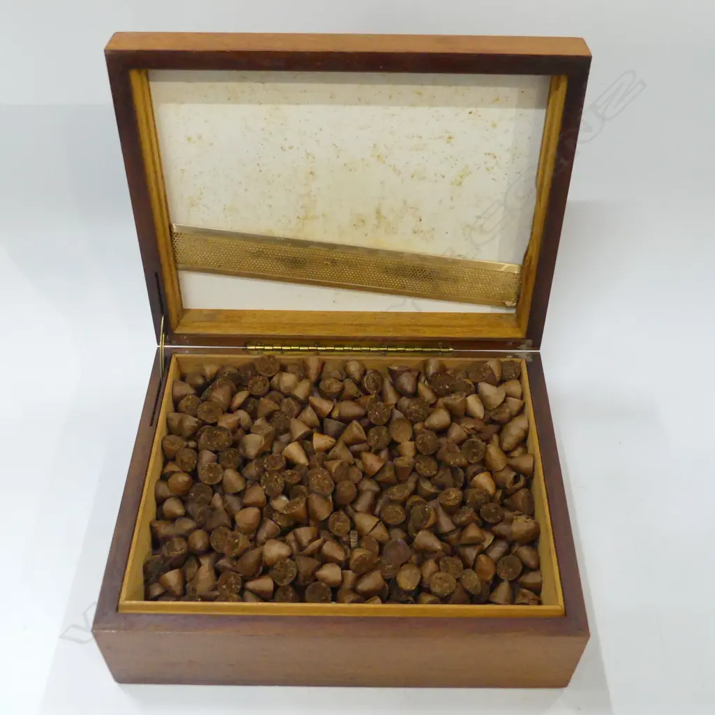 CIGAR HUMIDOR AND CONTENTS L290mm Image 1++