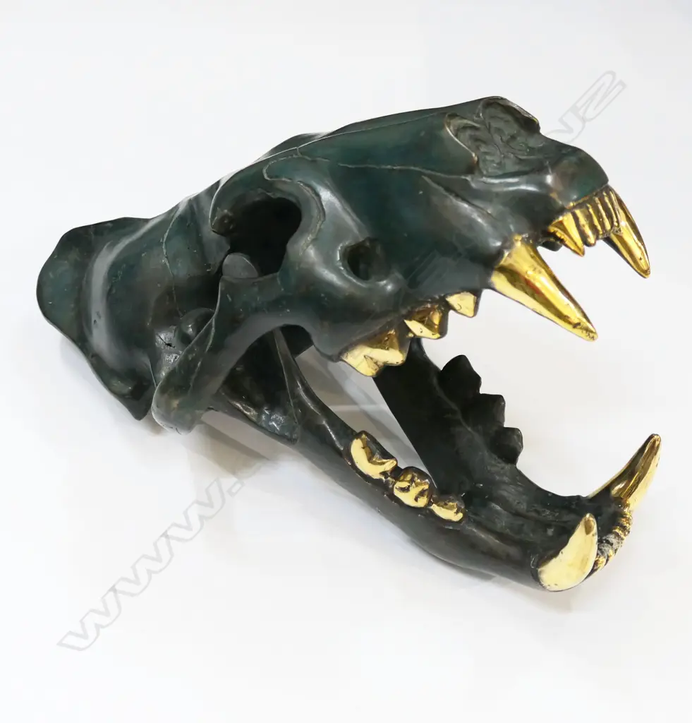 BRONZE TIGER SKULL L.350mm Image 1++