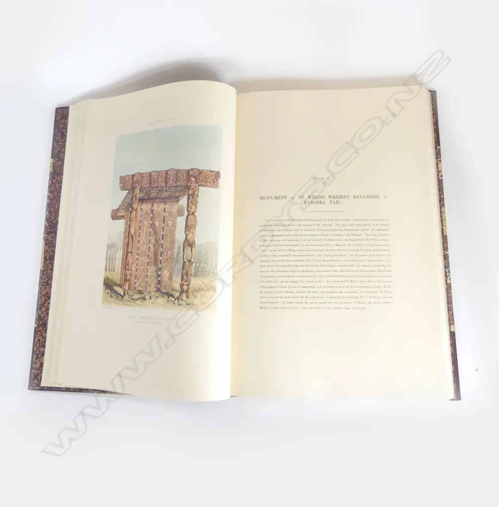 Facsimile reprint LARGE BOOK THE NEW ZEALANDER ILLUSTRATED BY  ANGUS 1846 H550 W390MM Image 1++
