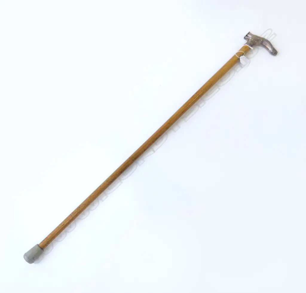 WALKING STICK w. STG HANDLE L.880mm DENTS Image 1++