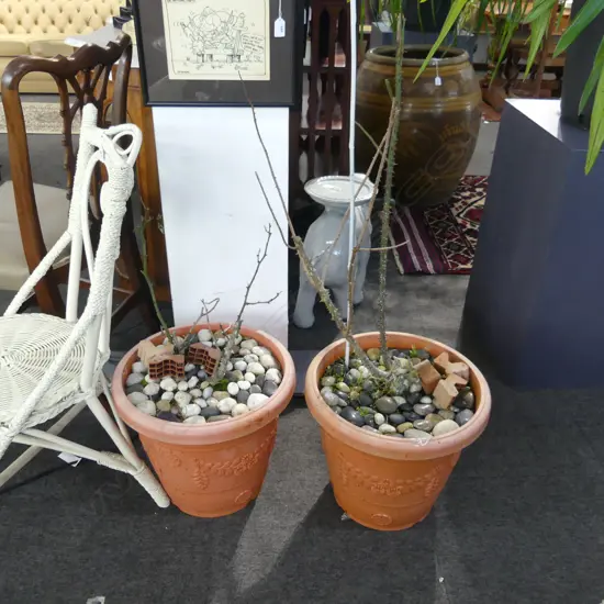 PR ROSES IN FLORAL DESIGN PLASTIC POT H.350 x DIA.400mm
