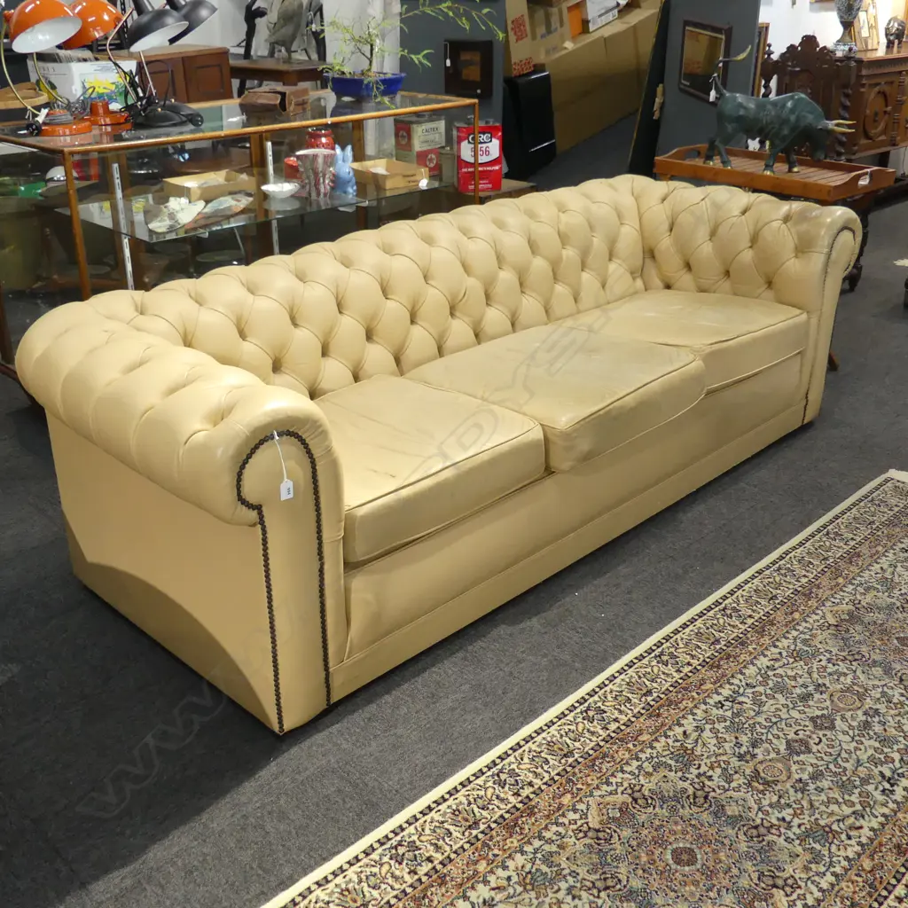 PALE TAN LEATHER 3 SEATER CHESTERFIELD SOFA 2250x900x700mm. some wear Image 1++
