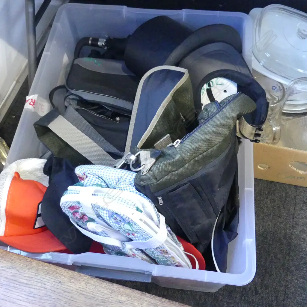BOX LOT HATS AND BAGS Image 1++