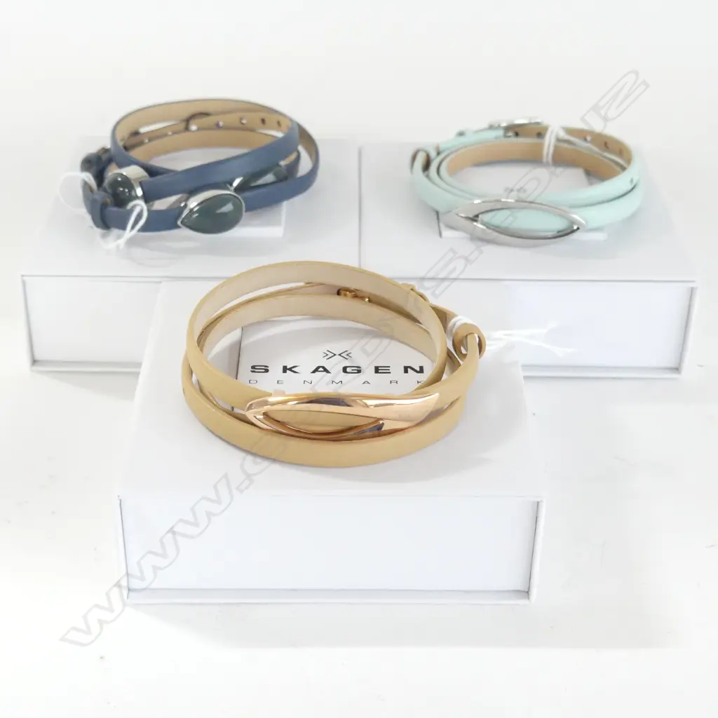 3 SKAGEN DENMARK BRACELETS, NEW Image 1++