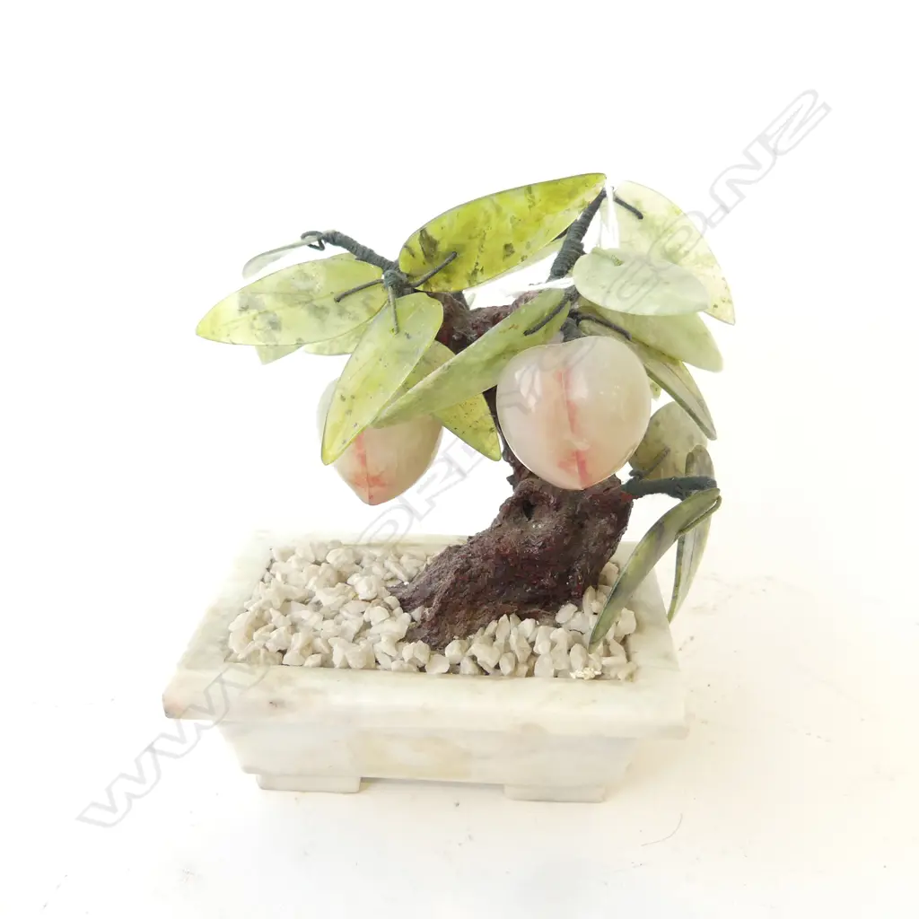 ORIENTAL JADE TREE H.150m Image 1++
