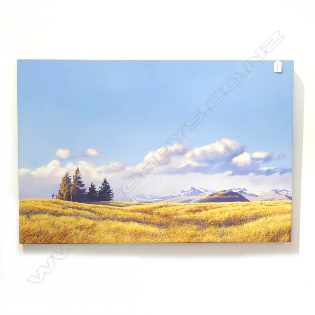 IAN HAMLIN 'BIG SKIES, MCKENZIE BASIN' OIL ON CANVAS 600x900mm Image 1++