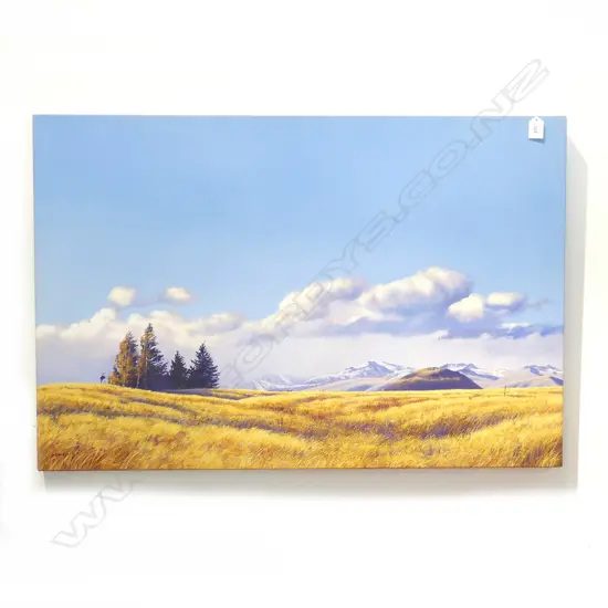 IAN HAMLIN 'BIG SKIES, MCKENZIE BASIN' OIL ON CANVAS 600x900mm