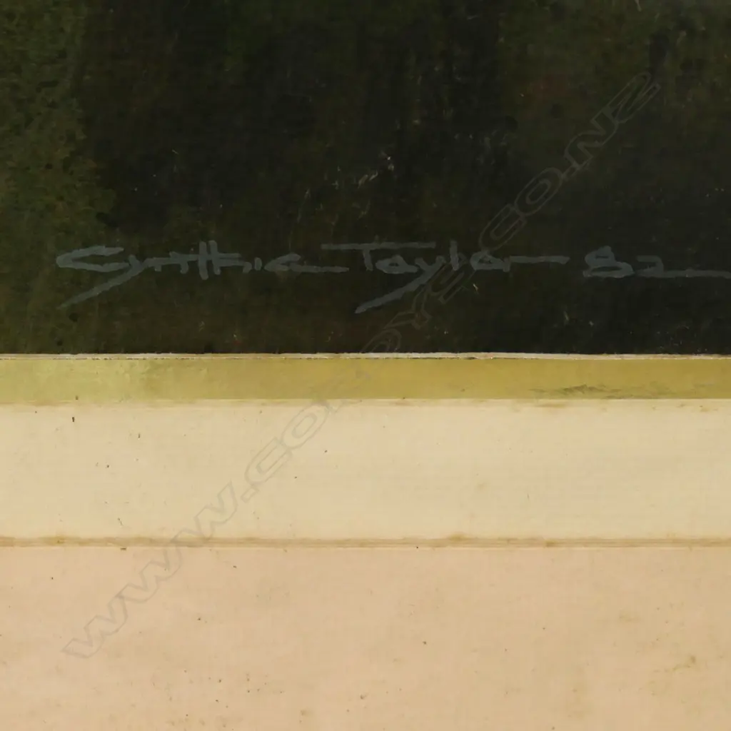 CYNTHIA TAYLOR 'ROCK CLEFT WAIHEKE ISLAND' WC '82 520x345mm Image 1++