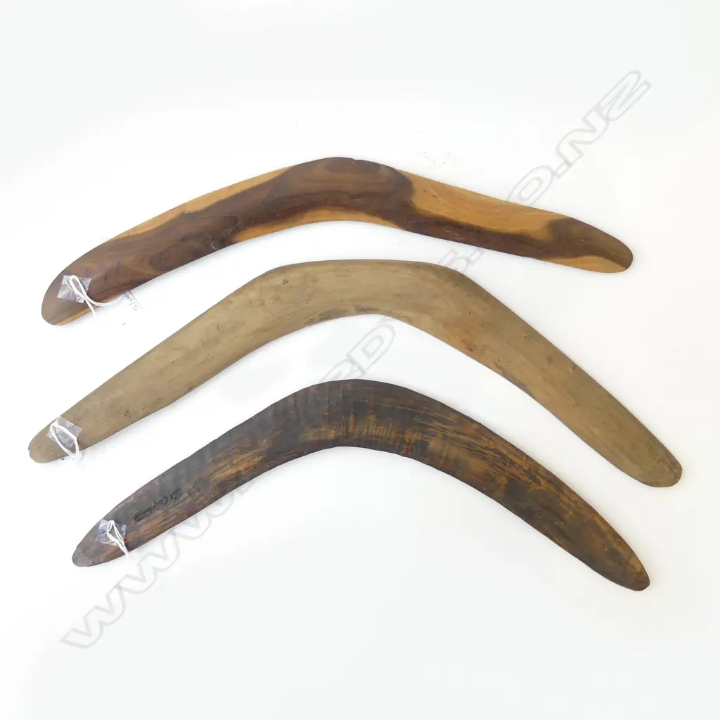 3 ABORIDGINAL HUNTING BOOMARANGS L560MM Image 1++