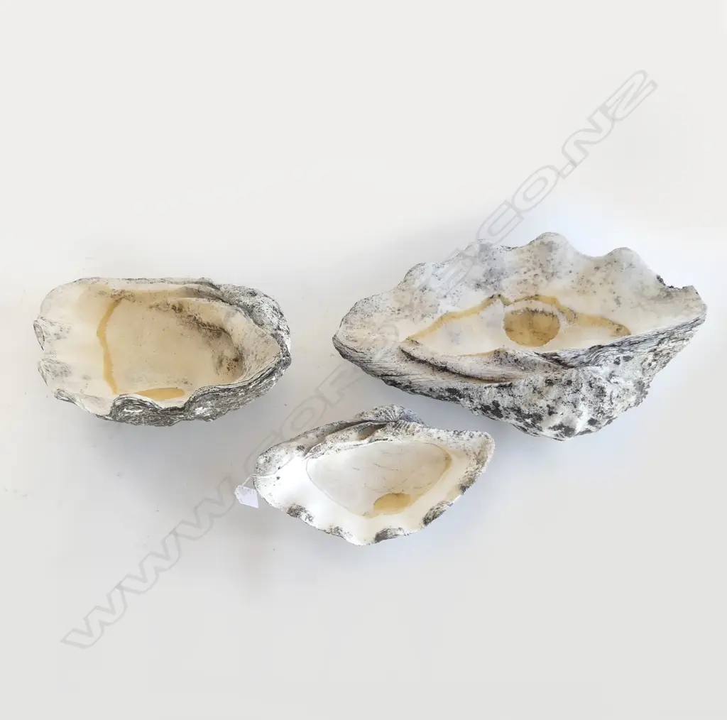 3 LG CLAM SHELLS W.465mm Image 1++