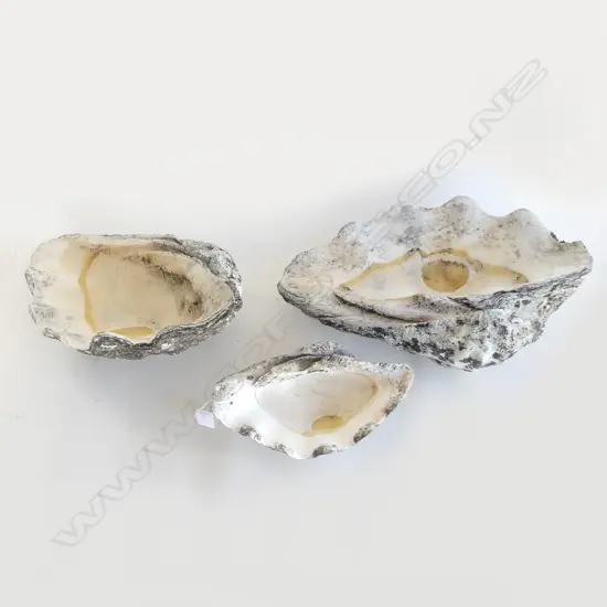 3 LG CLAM SHELLS W.465mm