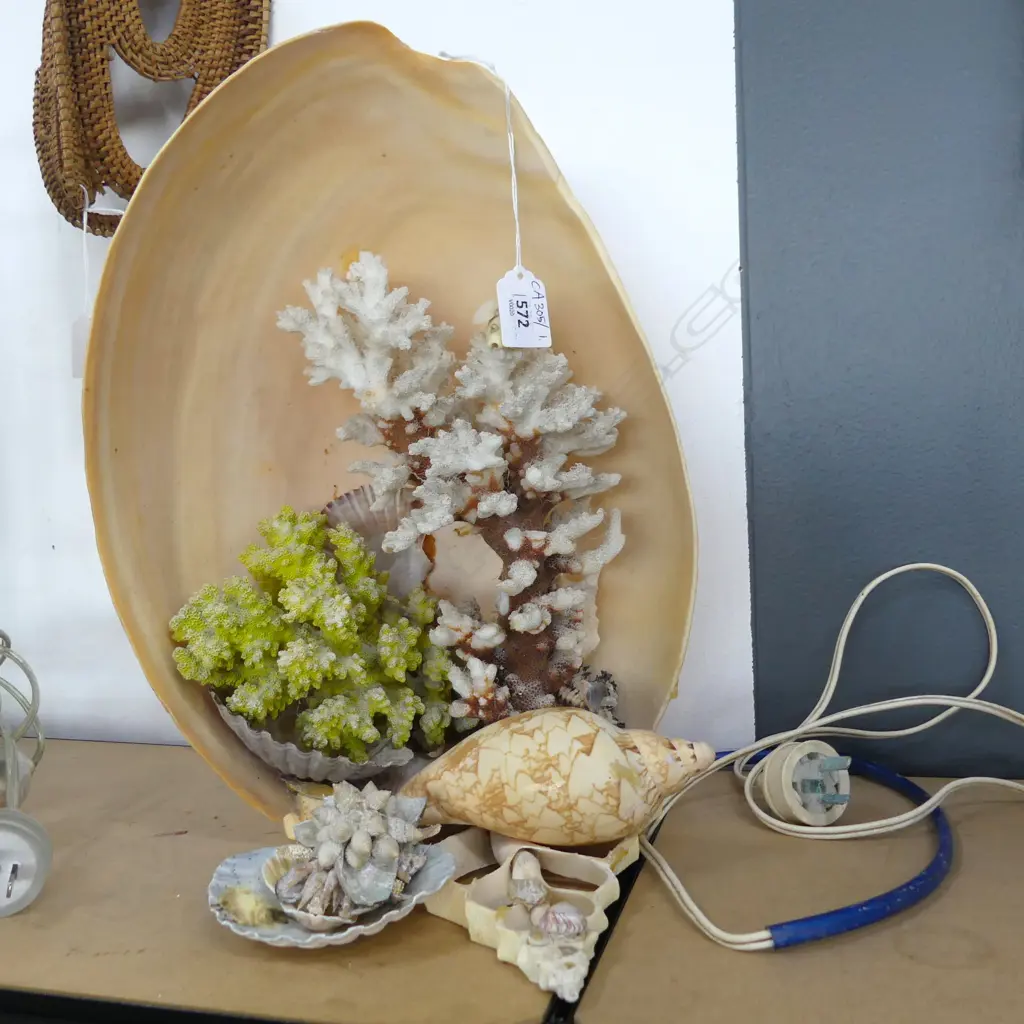 SHELL & CORAL LAMP H.360mm - SOME BITS LOOSE Image 1++