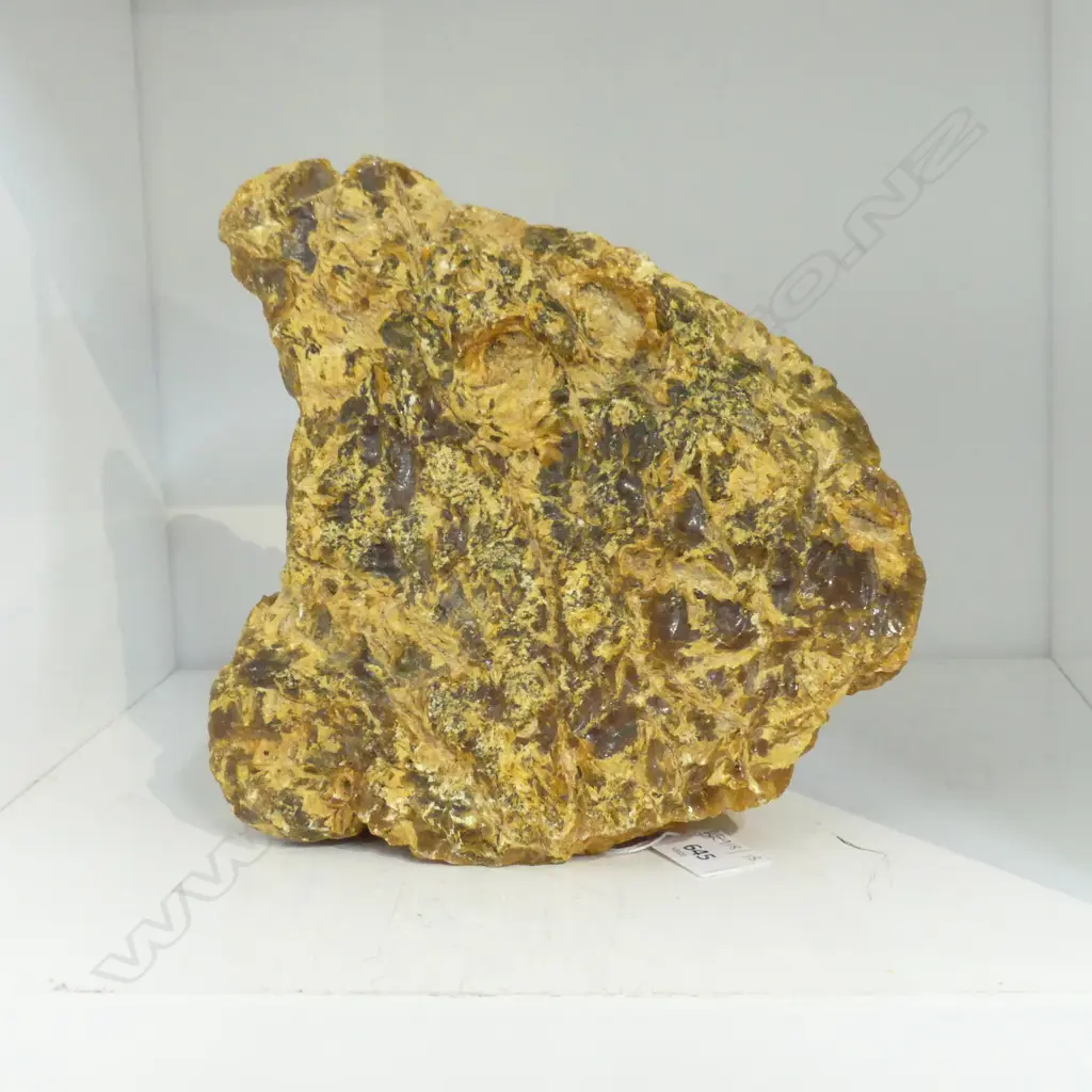 LG PCE KAURI GUM 210x100x210mm Image 1++