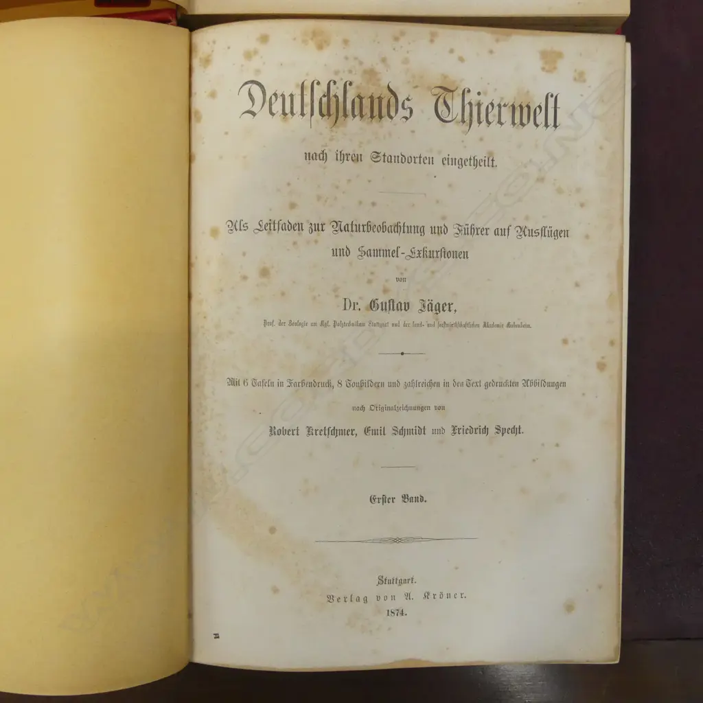 2 LATE 19thC GERMAN ENTOMOLOGY BOOKS Image 1++