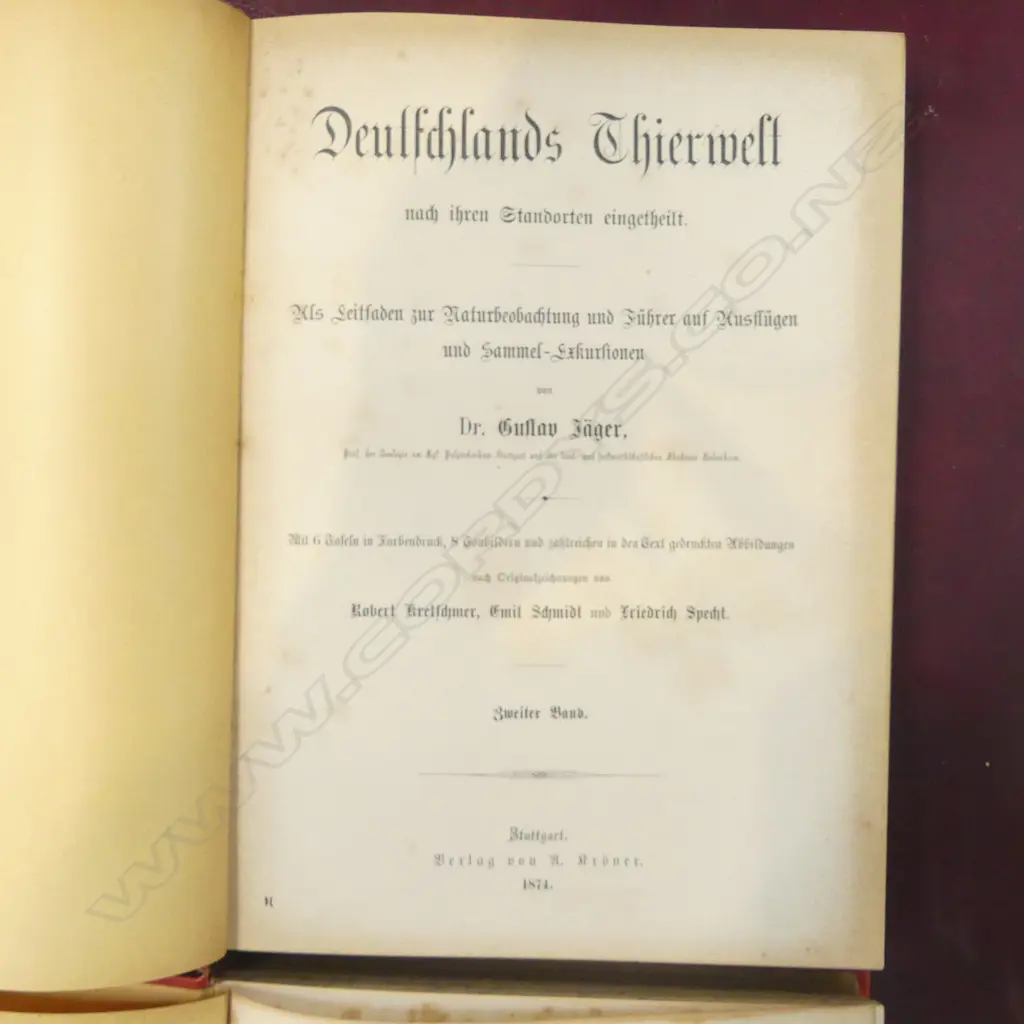 2 LATE 19thC GERMAN ENTOMOLOGY BOOKS Image 1++