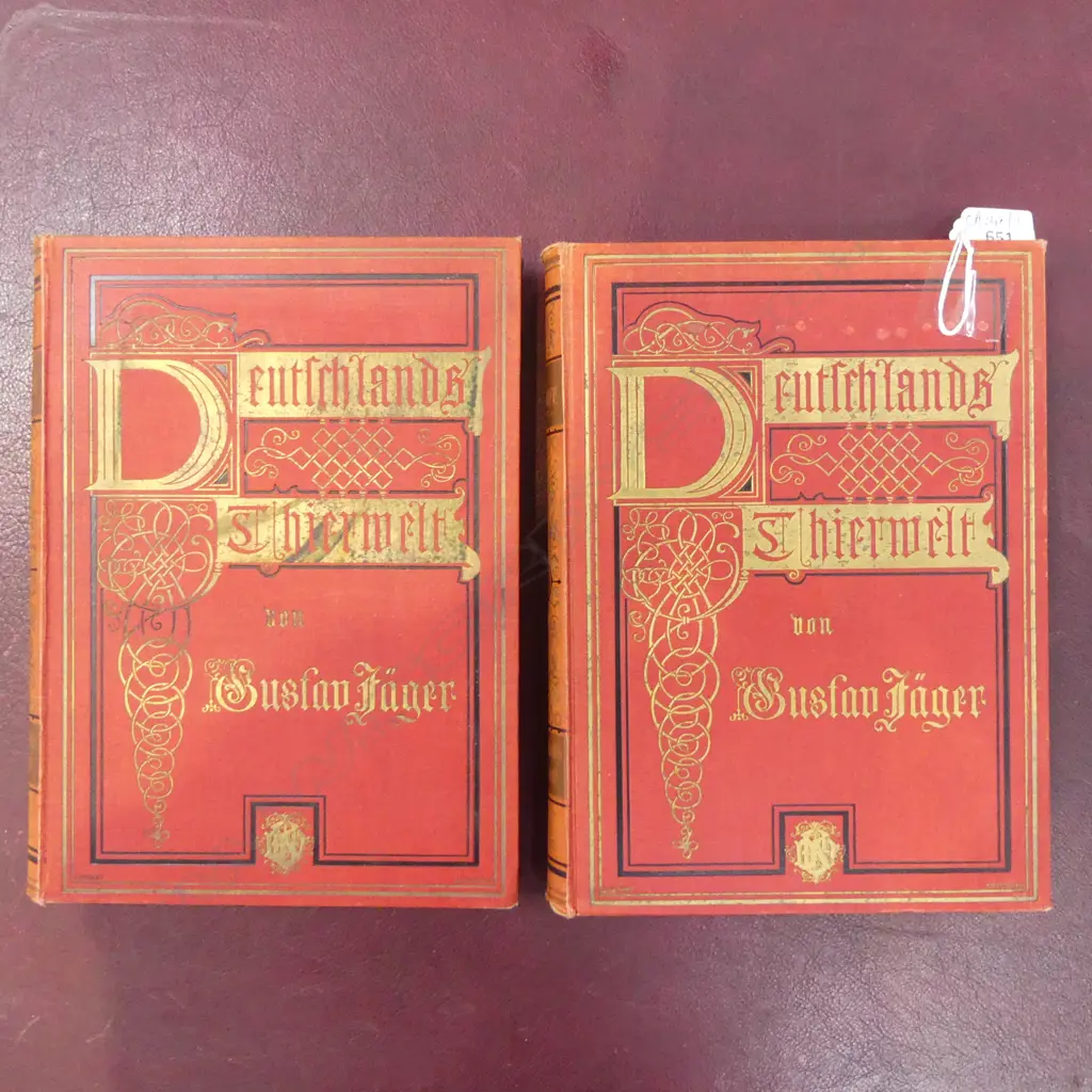 2 LATE 19thC GERMAN ENTOMOLOGY BOOKS Image 1++