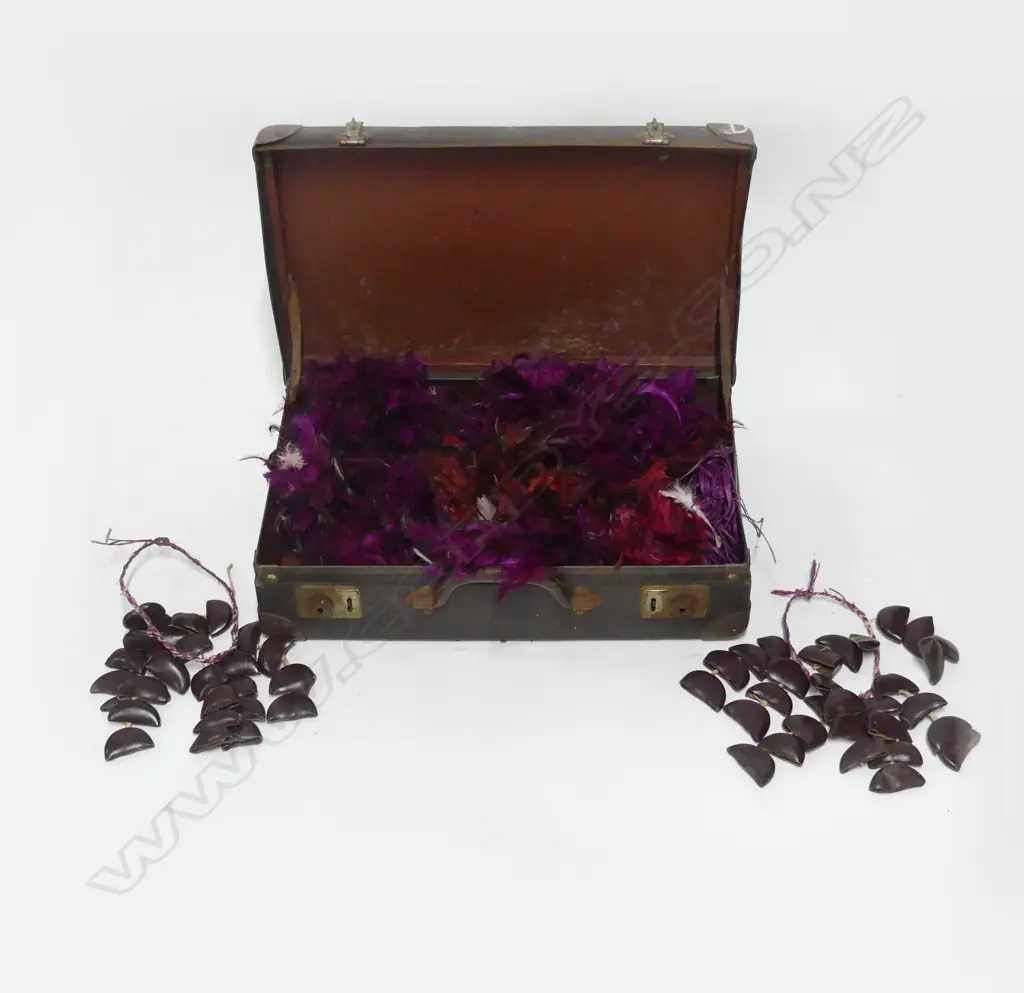 SMALL SUITCASE OF SAMOAN ISLAND FEATHER & NUT SHELL  LAIS Image 1++