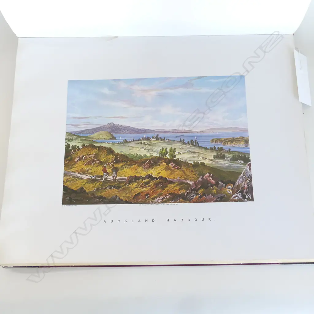 1973 FACSIMILE 'NEW ZEALAND GRAPHIC & DESCRIPTIVE' C.D.Barraud 1877 - water damage Image 1++