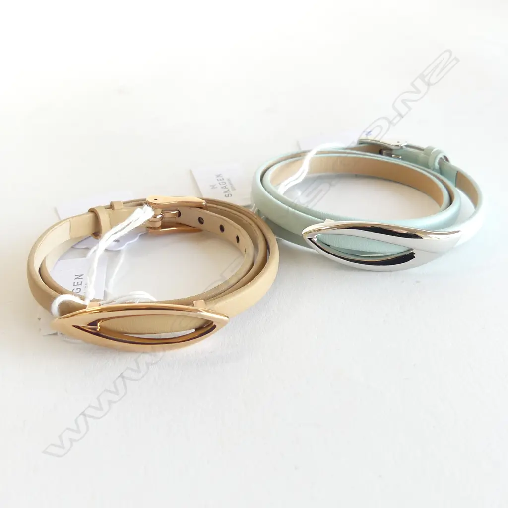 2 SKAGEN DENMARK BRACELETS, BOXED, NEW Image 1++