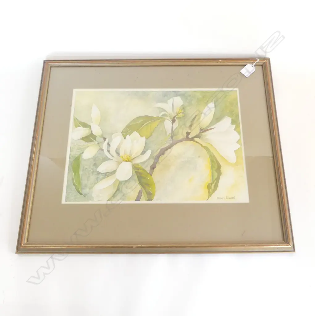 WATERCOLOUR, DIANA L STEWART, 270mmx390mm Image 1++