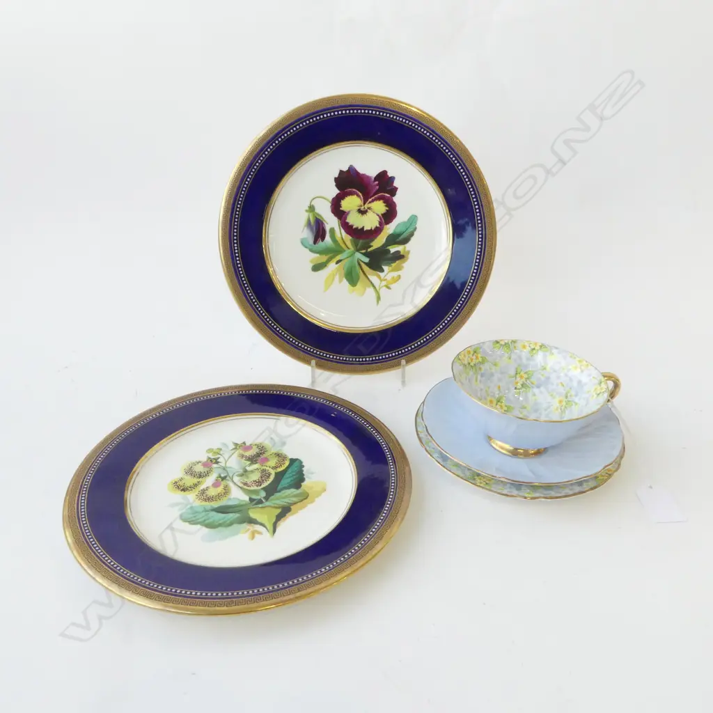 SHELLEY PRIMROSE TRIO + 2 VICTORIAN PLATES 225mm dia Image 1++