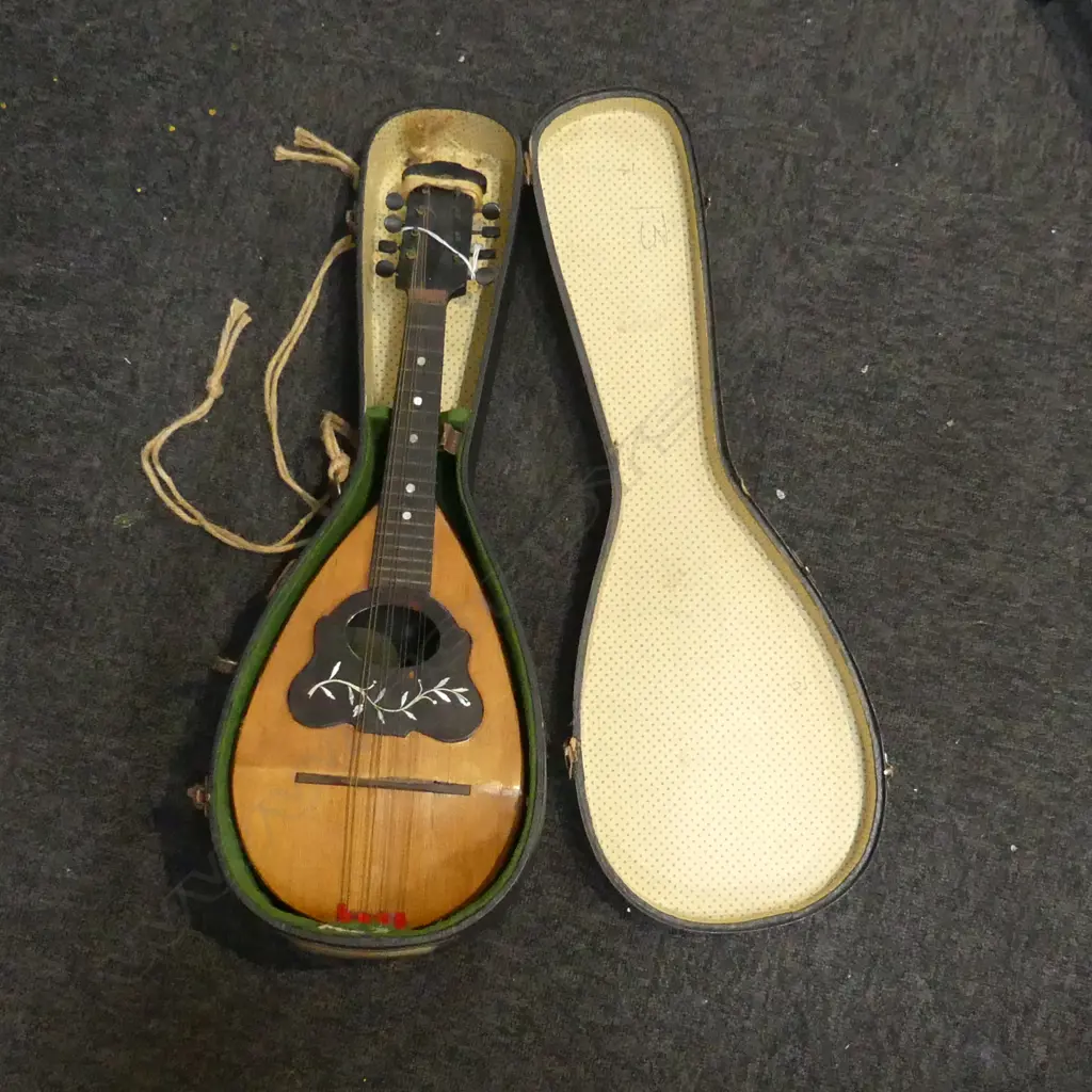 VINTAGE CASED CONTINENTAL INLAID MANDOLIN L620MM Image 1++