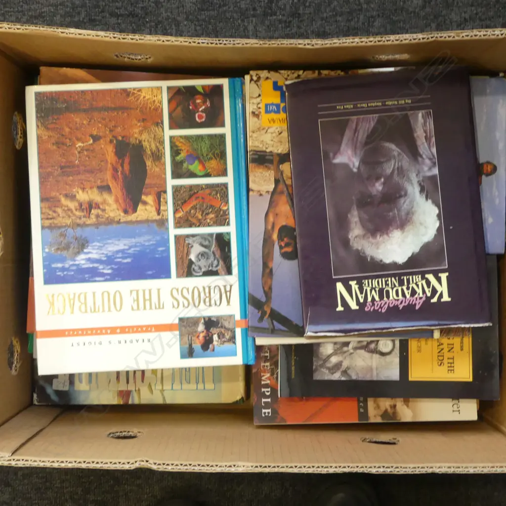 BOX LOT ETHNIC REF BOOKS Image 1++