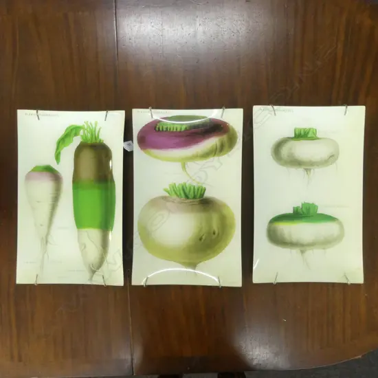 3 JOHN DERIAN RECTANGULAR TRAYS 400x245mm