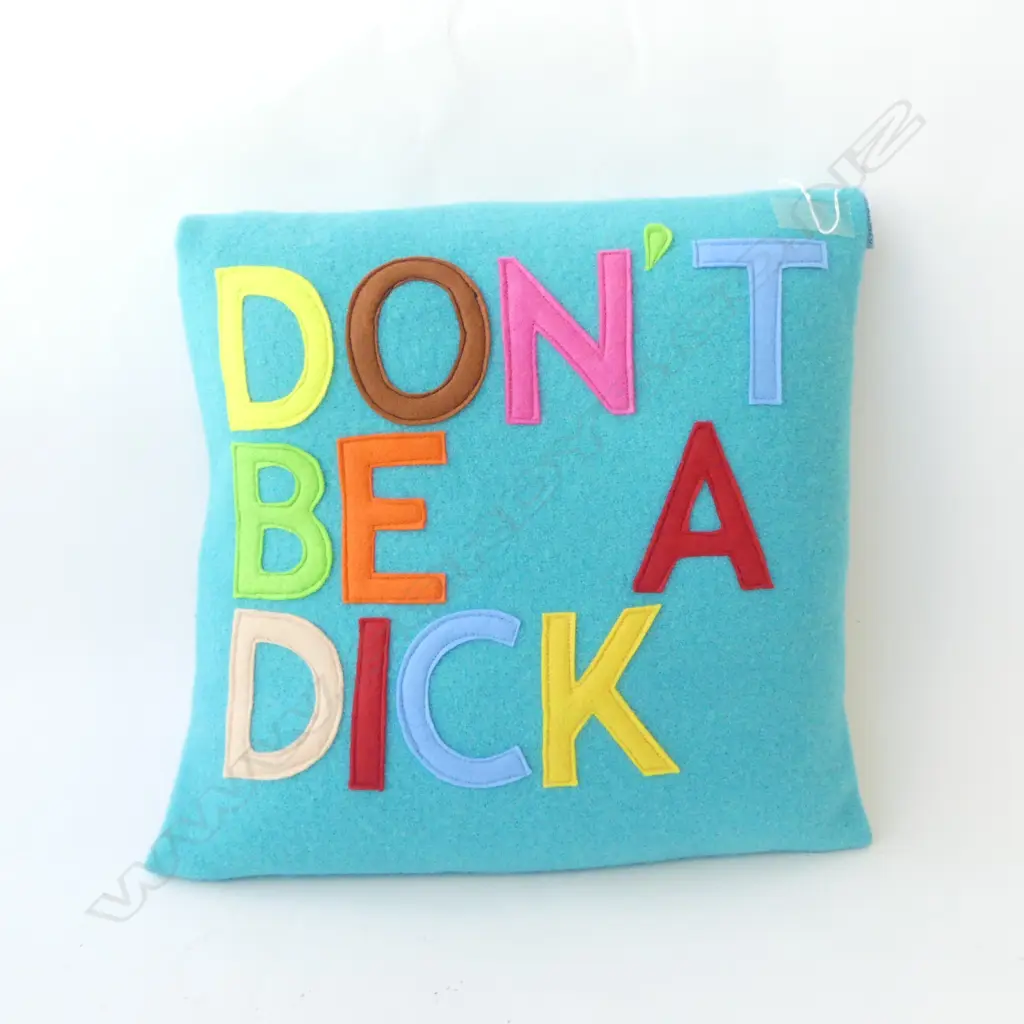 'DON'T BE A DICK' WOOL CUSHION 400x400mm Image 1++