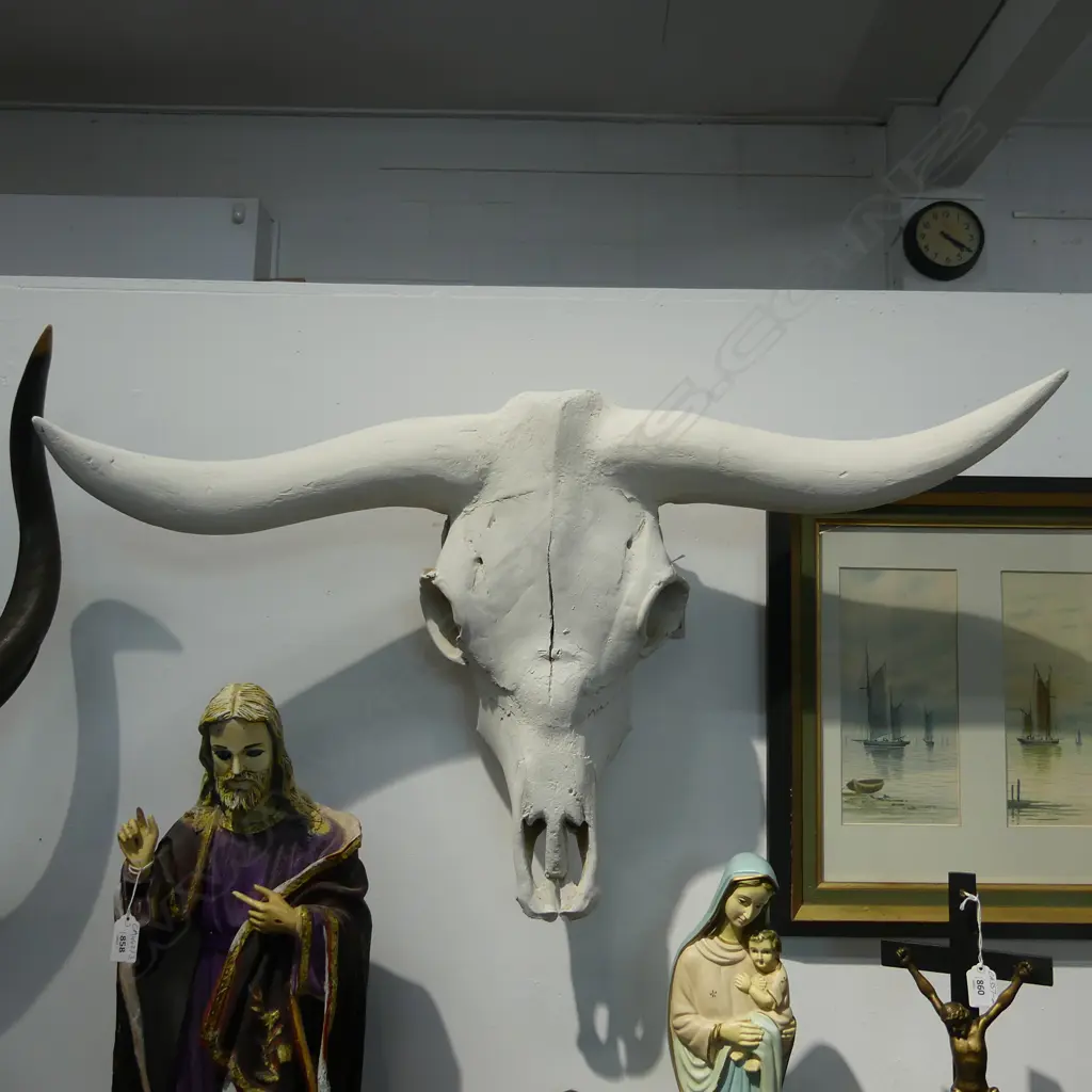 BLEACHED LONG HORN SKULL WITH FALSE HORNS Image 1++
