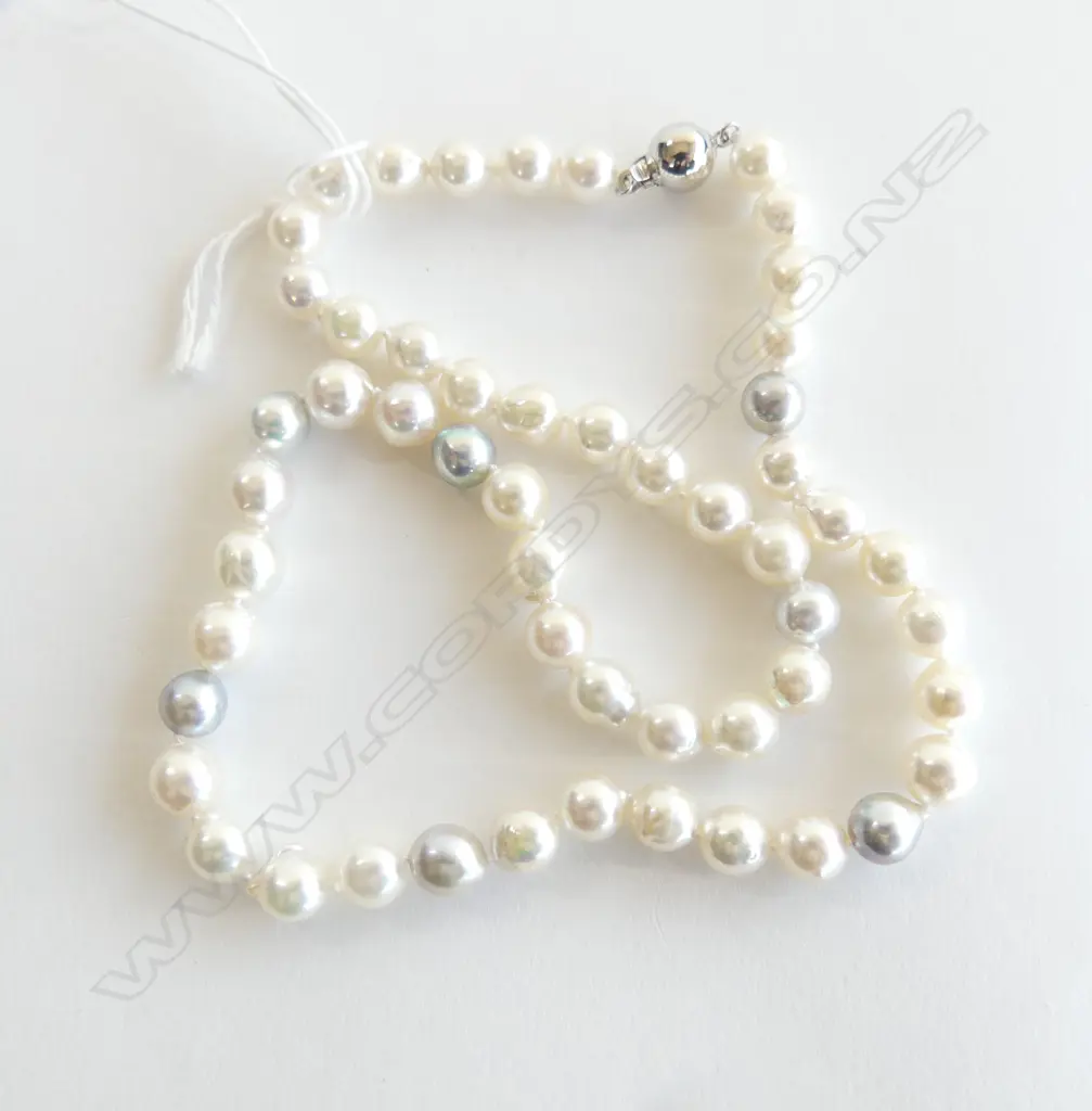 AS NEW CULTURED white & grey PEARL NECKLACE L.400mm silver clasp. LGEST Dia.8mm. Image 1++