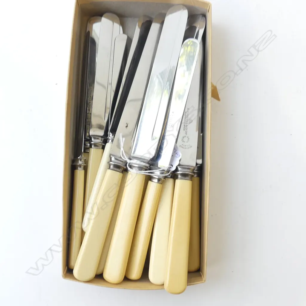 18 IVORINE 'BONE' HANDLED KNIVES (6+12) Image 1++