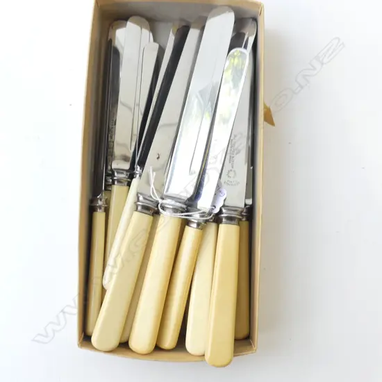 18 IVORINE 'BONE' HANDLED KNIVES (6+12)