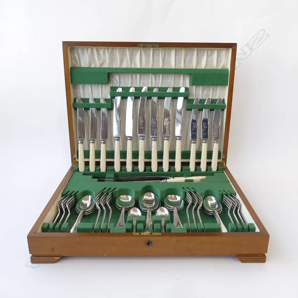 ASHBERRY CUTLERY CANTEEN w. IVORINE 'BONE' HANDLED KNIVES Image 1++
