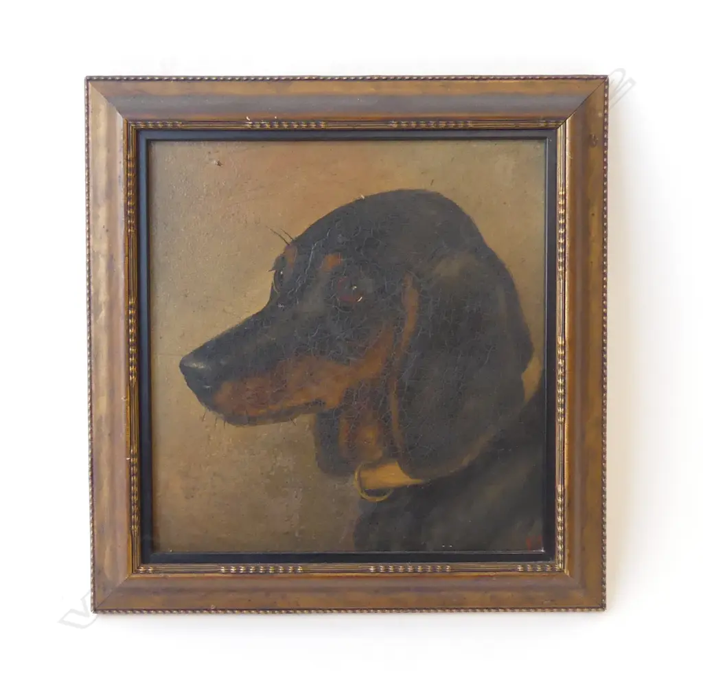 ARTIST UNKNOWN, VINTAGE DOG PORTRAIT, OIL ON BOARD 185x175mm Image 1++