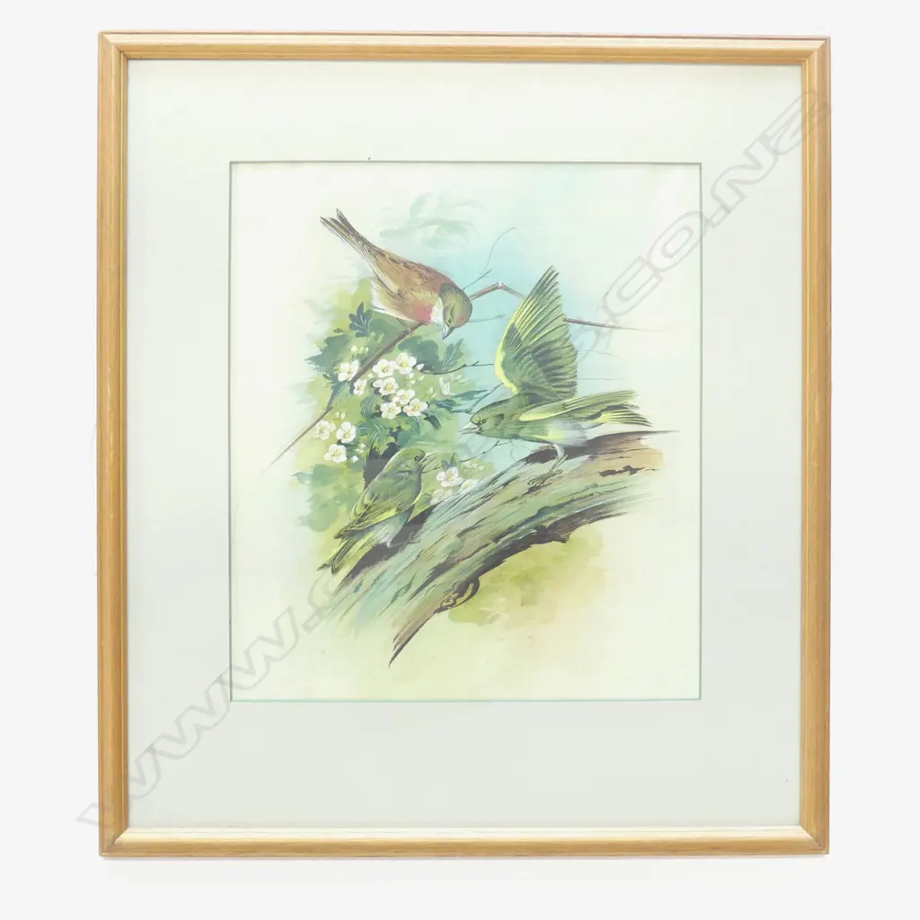 TWO PAINTING ON SILK OF BIRDS ON BRANCHES. LARGEST 360 x 310mm Image 1++