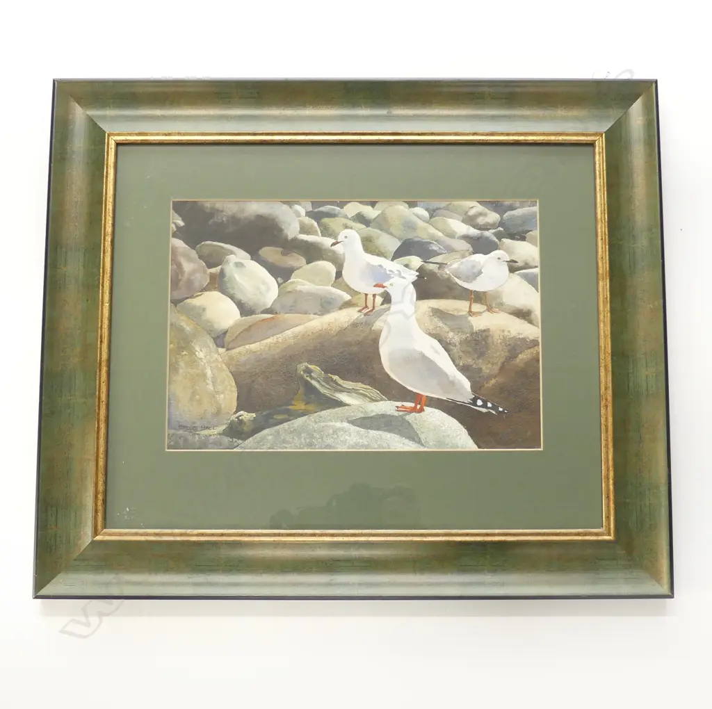W/C SEAGULLS ON ROCKY SHORE SIGNED STEVE HALL H520 L630MM Image 1++