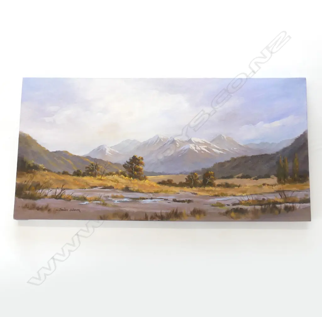 OIL ON  CANVAS THE STUNNING SOUTH ISLAND BY JANICE SKINNER H450 L910MM Image 1++