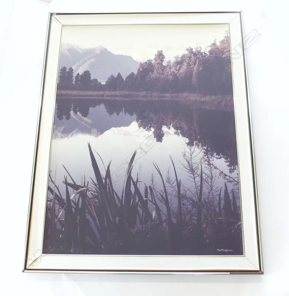 LARGE FRAMED RONALD WOLFF PHOTO LAKE MATHERSON SI H1140 L880MM Image 1++