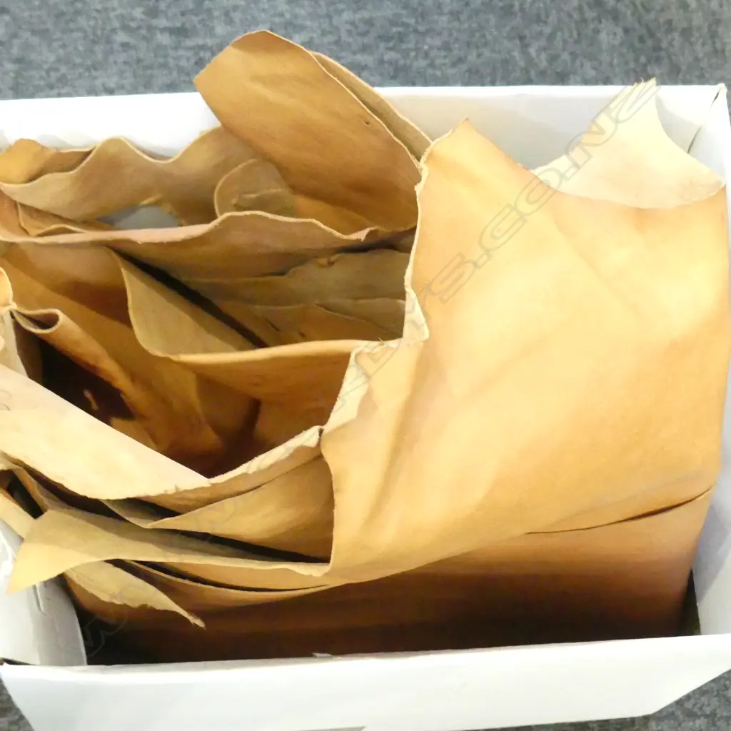 6 TAN LEATHER PELTS Image 1++