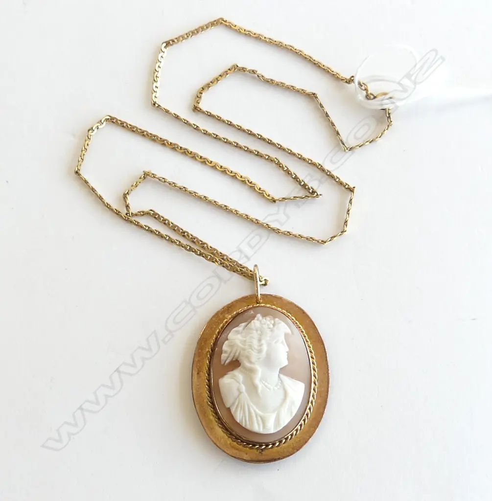 9ct ROSE GOLD FRAMED CAMEO 9gms on rolled gold chain Image 1++