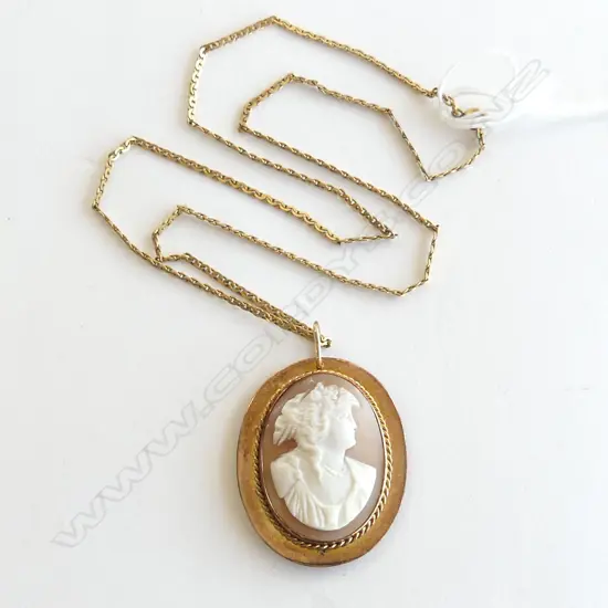 9ct ROSE GOLD FRAMED CAMEO 9gms on rolled gold chain