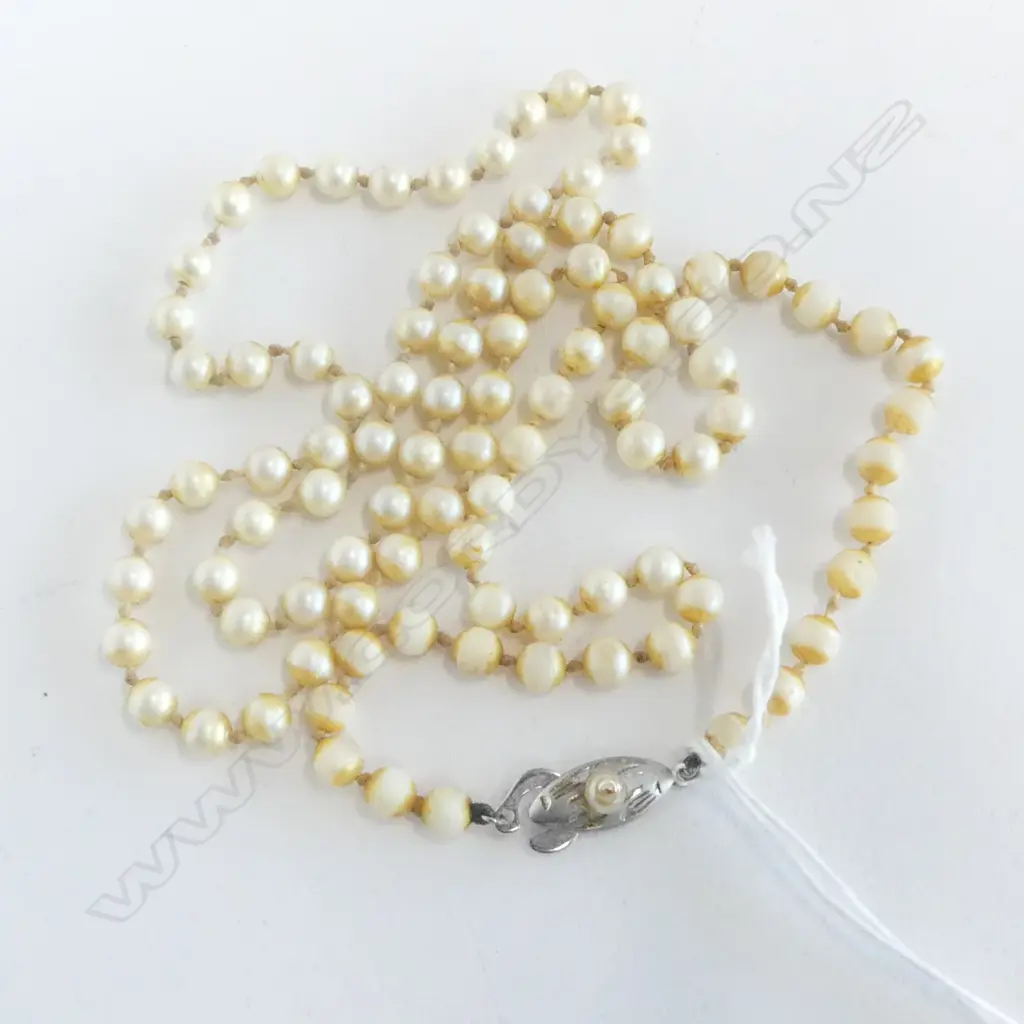 STRING CULTURED PEARLS w PEARL SET SILVER CLASP Image 1++
